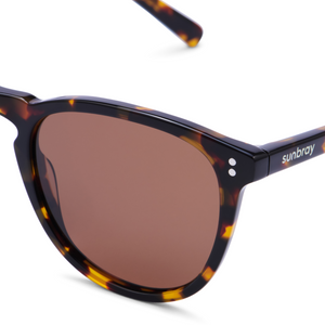 The Dawson | Tortoise