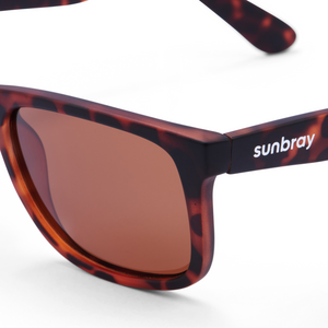 The Fullbrook | Tortoise