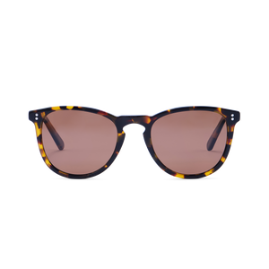 The Dawson | Tortoise