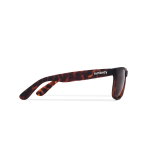 The Fullbrook | Tortoise