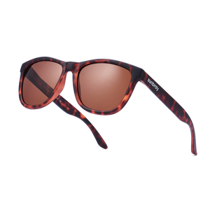 The Whistler | Tortoise